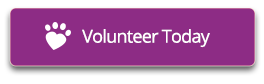 Volunteer Today