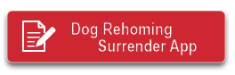 Dog Rehoming/Surrender Application