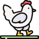 chicken