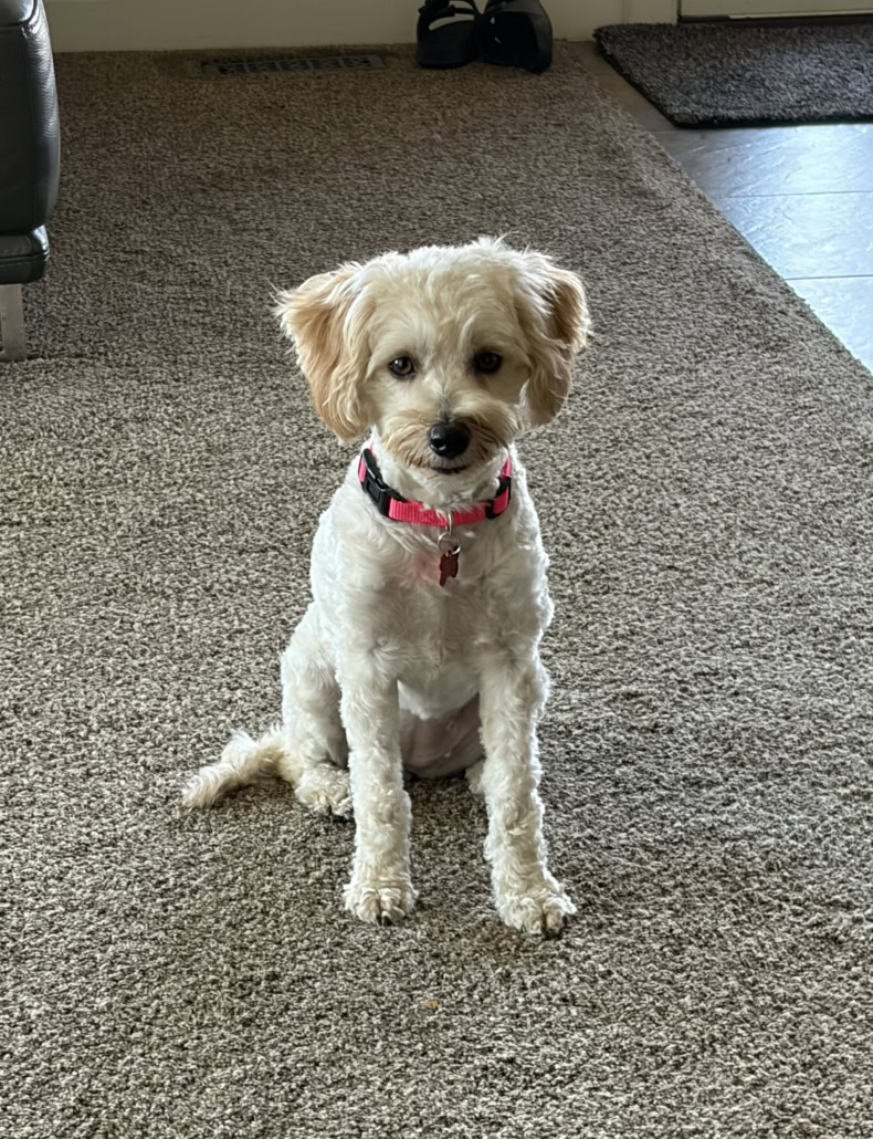 Bella